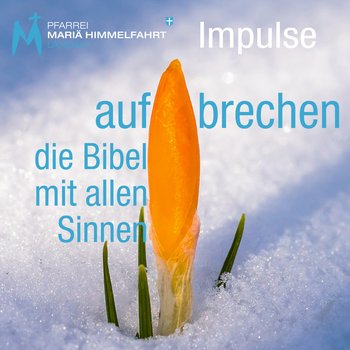 Bibeltag 2026 Bibeltag 2026